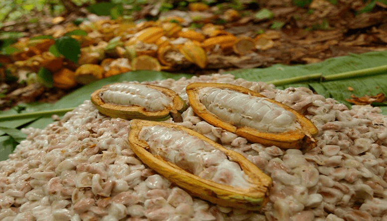 Sustainable Agriculture